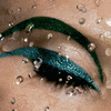 Eyes avatars