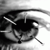 Eyes avatars