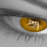 Eyes avatars