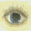 Eyes avatars