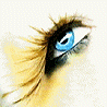 Eyes avatars