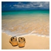 Flip flops avatars