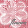 Flowers avatars
