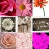 Flowers avatars