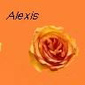 Flowers avatars