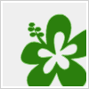 Flowers avatars