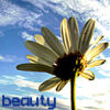 Flowers avatars