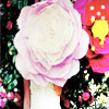 Flowers avatars