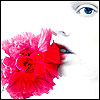 Flowers avatars