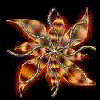 Flowers avatars