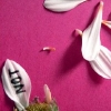 Flowers avatars