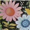 Flowers avatars