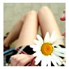 Flowers avatars