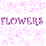 Flowers avatars