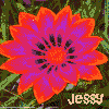 Flowers avatars