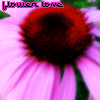 Flowers avatars