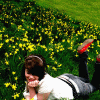 Flowers avatars