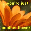 Flowers avatars