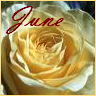 Flowers avatars