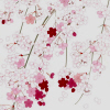 Flowers avatars