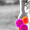 Flowers avatars