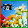 Flowers avatars
