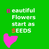 Flowers avatars