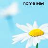 Flowers avatars