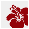 Flowers avatars