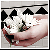 Flowers avatars