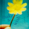 Flowers avatars