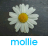 Flowers avatars
