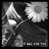 Flowers avatars