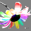 Flowers avatars