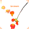 Flowers avatars