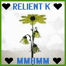 Flowers avatars