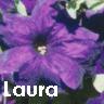 Flowers avatars