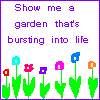 Flowers avatars