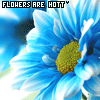 Flowers avatars