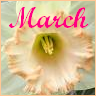 Flowers avatars
