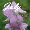 Flowers avatars