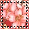 Flowers avatars