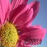 Flowers avatars