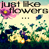Flowers avatars