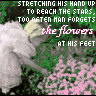 Flowers avatars