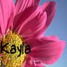 Flowers avatars