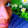 Flowers avatars
