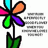 Flowers avatars