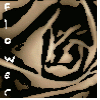 Flowers avatars