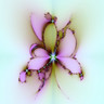 Flowers avatars